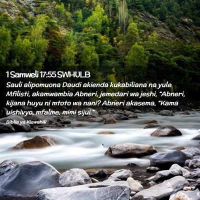 Picture 02 - 1 Samweli 17:55 SWHULB - Sauli alipomuona Daudi akienda kukabiliana na - Bible Verse Picture
