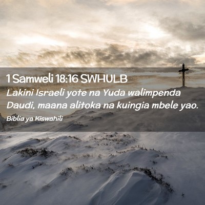 Picture 02 - 1 Samweli 18:16 SWHULB - Lakini Israeli yote na Yuda walimpenda Daudi, - Bible Verse Picture