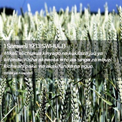 Picture 02 - 1 Samweli 19:13 SWHULB - Mikali alichukua kinyago na kukilaza juu ya - Bible Verse Picture
