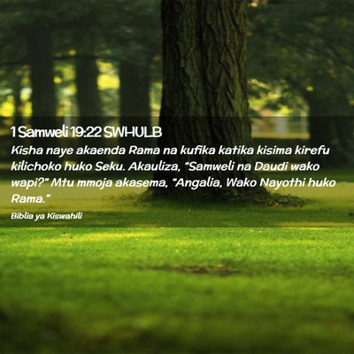 Picture 02 - 1 Samweli 19:22 SWHULB - Kisha naye akaenda Rama na kufika katika kisima - Bible Verse Picture