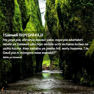 Picture 02 - 1 Samweli 19:24 SWHULB - Na yeye pia, alirarua mavazi yake, naye pia - Bible Verse Picture
