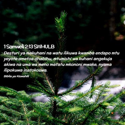 Picture 02 - 1 Samweli 2:13 SWHULB - Desturi ya makuhani na watu ilikuwa kwamba endapo - Bible Verse Picture