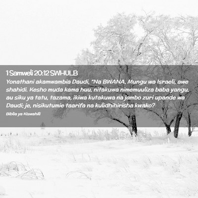 Picture 02 - 1 Samweli 20:12 SWHULB - Yonathani akamwambia Daudi, “Na BWANA, Mungu wa - Bible Verse Picture