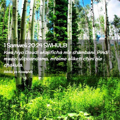 Picture 02 - 1 Samweli 20:24 SWHULB - Kwa hiyo Daudi akajificha mle shambani. Pindi - Bible Verse Picture