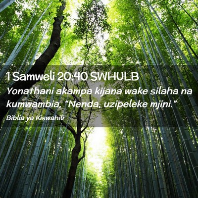 Picture 02 - 1 Samweli 20:40 SWHULB - Yonathani akampa kijana wake silaha na kumwambia, - Bible Verse Picture