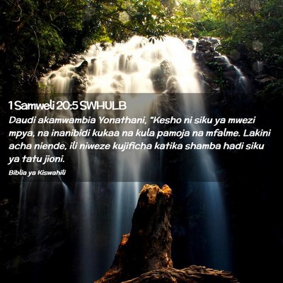 Picture 02 - 1 Samweli 20:5 SWHULB - Daudi akamwambia Yonathani, “Kesho ni siku ya - Bible Verse Picture