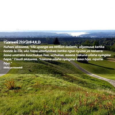 Picture 02 - 1 Samweli 21:9 SWHULB - Kuhani akasema, “Ule upanga wa Mfilisti - Bible Verse Picture