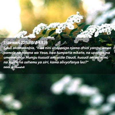 Picture 02 - 1 Samweli 22:13 SWHULB - Sauli akamwambia, “Kwa nini unapanga njama - Bible Verse Picture