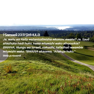 Picture 02 - 1 Samweli 23:11 SWHULB - Je, watu wa Keila watanisalimisha mkononi mwake? - Bible Verse Picture