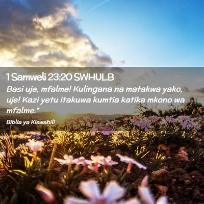 Picture 02 - 1 Samweli 23:20 SWHULB - Basi uje, mfalme! Kulingana na matakwa yako, uje! - Bible Verse Picture