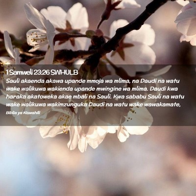 Picture 02 - 1 Samweli 23:26 SWHULB - Sauli akaenda akawa upande mmoja wa mlima, na - Bible Verse Picture
