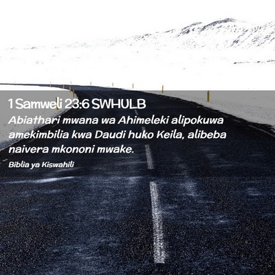 Picture 02 - 1 Samweli 23:6 SWHULB - Abiathari mwana wa Ahimeleki alipokuwa - Bible Verse Picture