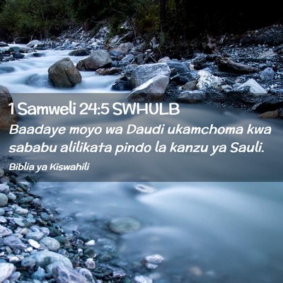 Picture 02 - 1 Samweli 24:5 SWHULB - Baadaye moyo wa Daudi ukamchoma kwa sababu - Bible Verse Picture