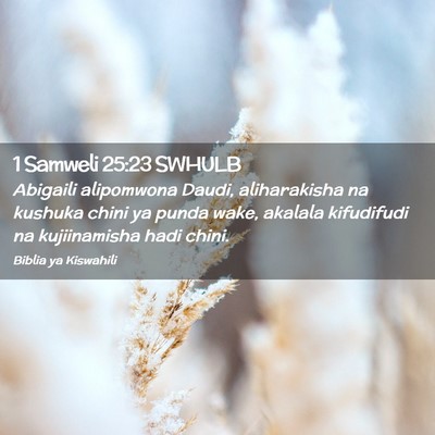Picture 02 - 1 Samweli 25:23 SWHULB - Abigaili alipomwona Daudi, aliharakisha na - Bible Verse Picture