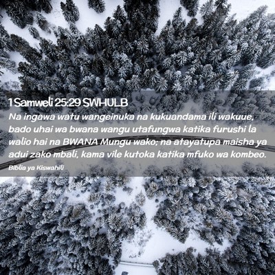 Picture 02 - 1 Samweli 25:29 SWHULB - Na ingawa watu wangeinuka na kukuandama ili - Bible Verse Picture
