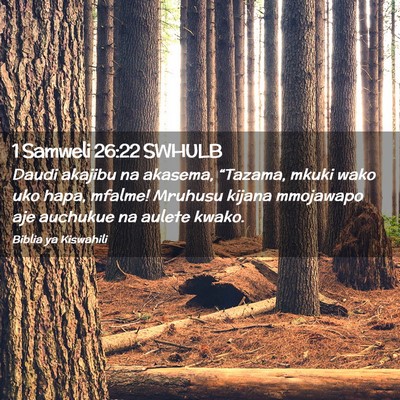 Picture 02 - 1 Samweli 26:22 SWHULB - Daudi akajibu na akasema, “Tazama, mkuki wako - Bible Verse Picture