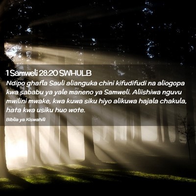 Picture 02 - 1 Samweli 28:20 SWHULB - Ndipo ghafla Sauli alianguka chini kifudifudi na - Bible Verse Picture