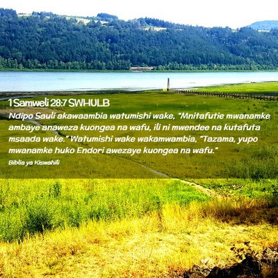 Picture 02 - 1 Samweli 28:7 SWHULB - Ndipo Sauli akawaambia watumishi wake, - Bible Verse Picture