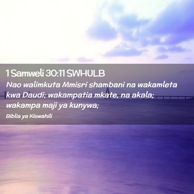 Picture 02 - 1 Samweli 30:11 SWHULB - Nao walimkuta Mmisri shambani na wakamleta kwa - Bible Verse Picture