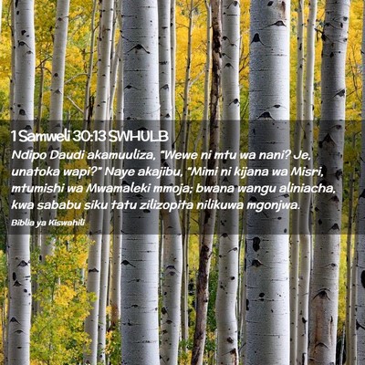 Picture 02 - 1 Samweli 30:13 SWHULB - Ndipo Daudi akamuuliza, “Wewe ni mtu wa nani? - Bible Verse Picture