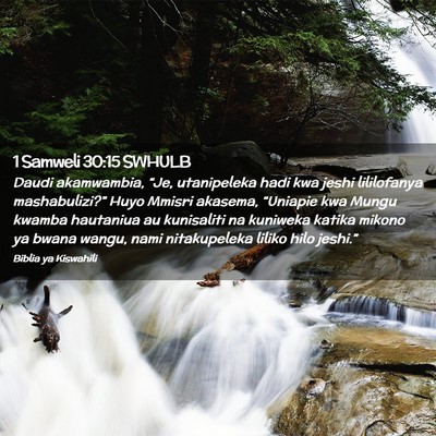 Picture 02 - 1 Samweli 30:15 SWHULB - Daudi akamwambia, “Je, utanipeleka hadi kwa - Bible Verse Picture