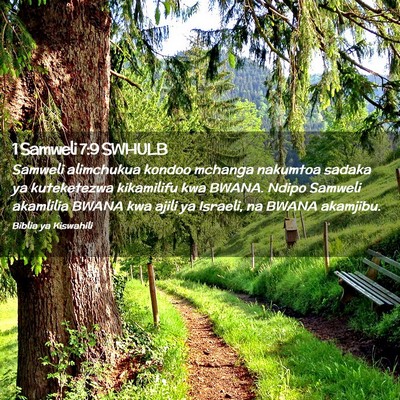 Picture 02 - 1 Samweli 7:9 SWHULB - Samweli alimchukua kondoo mchanga nakumtoa sadaka - Bible Verse Picture
