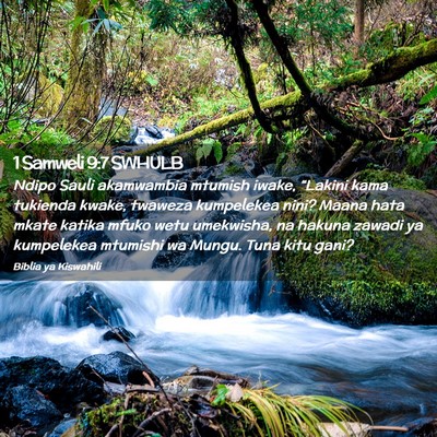 Picture 02 - 1 Samweli 9:7 SWHULB - Ndipo Sauli akamwambia mtumish iwake, “Lakini - Bible Verse Picture