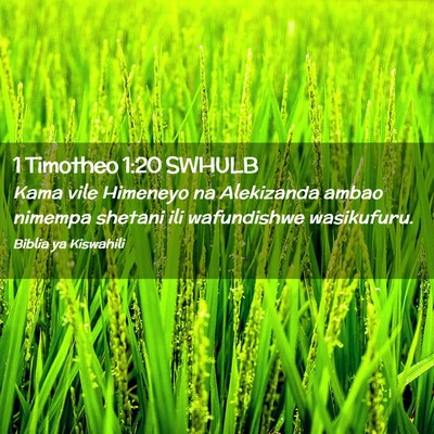 Picture 02 - 1 Timotheo 1:20 SWHULB - Kama vile Himeneyo na Alekizanda ambao nimempa - Bible Verse Picture