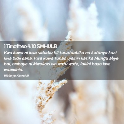 Picture 02 - 1 Timotheo 4:10 SWHULB - Kwa kuwa ni kwa sababu hii tunataabika na kufanya - Bible Verse Picture