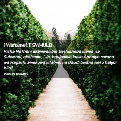 Picture 02 - 1 Wafalme 1:11 SWHULB - Kisha Nathani akamwambia Bethisheba mama wa - Bible Verse Picture