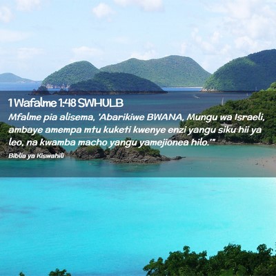 Picture 02 - 1 Wafalme 1:48 SWHULB - Mfalme pia alisema, 'Abarikiwe BWANA, Mungu wa - Bible Verse Picture