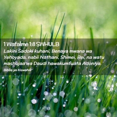 Picture 02 - 1 Wafalme 1:8 SWHULB - Lakini Sadoki kuhani, Benaya mwana wa Yehoyada, - Bible Verse Picture