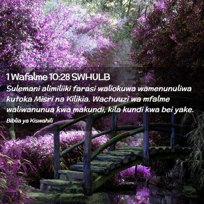 Picture 02 - 1 Wafalme 10:28 SWHULB - Sulemani alimiliiki farasi waliokuwa wamenunuliwa - Bible Verse Picture