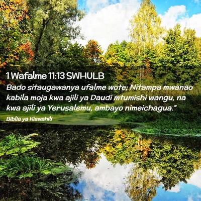 Picture 02 - 1 Wafalme 11:13 SWHULB - Bado sitaugawanya ufalme wote; Nitampa mwanao - Bible Verse Picture