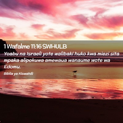Picture 02 - 1 Wafalme 11:16 SWHULB - Yoabu na Israeli yote walibaki huko kwa miezi - Bible Verse Picture