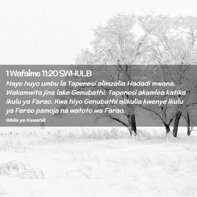Picture 02 - 1 Wafalme 11:20 SWHULB - Naye huyo umbu la Tapenesi alimzalia Hadadi - Bible Verse Picture
