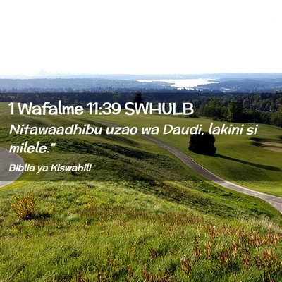 Picture 02 - 1 Wafalme 11:39 SWHULB - Nitawaadhibu uzao wa Daudi, lakini si - Bible Verse Picture