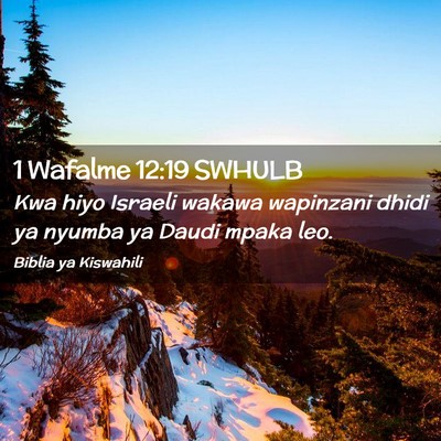 Picture 02 - 1 Wafalme 12:19 SWHULB - Kwa hiyo Israeli wakawa wapinzani dhidi ya nyumba - Bible Verse Picture