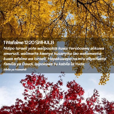 Picture 02 - 1 Wafalme 12:20 SWHULB - Ndipo Israeli yote waliposikia kuwa Yeroboamu - Bible Verse Picture