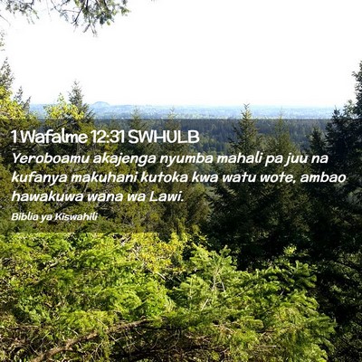 Picture 02 - 1 Wafalme 12:31 SWHULB - Yeroboamu akajenga nyumba mahali pa juu na - Bible Verse Picture