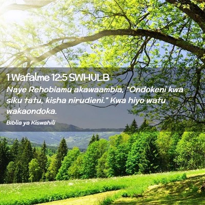 Picture 02 - 1 Wafalme 12:5 SWHULB - Naye Rehobiamu akawaambia, “Ondokeni kwa siku - Bible Verse Picture