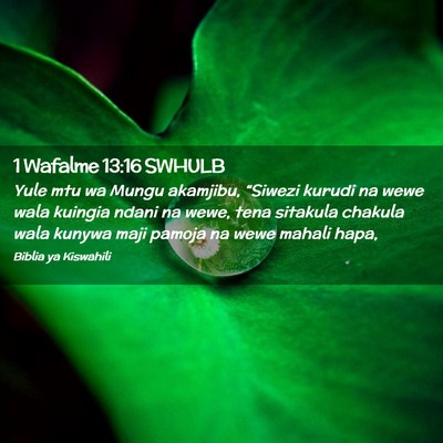 Picture 02 - 1 Wafalme 13:16 SWHULB - Yule mtu wa Mungu akamjibu, “Siwezi kurudi na - Bible Verse Picture