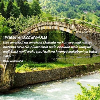 Picture 02 - 1 Wafalme 13:22 SWHULB - bali umerudi na umekula chakula na kunywa maji - Bible Verse Picture