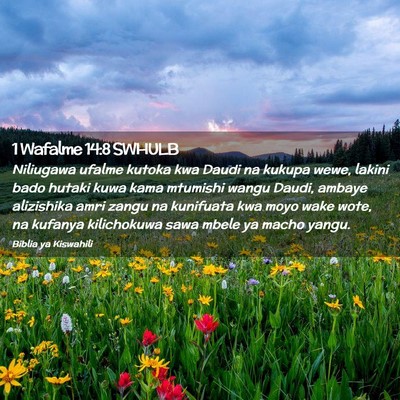 Picture 02 - 1 Wafalme 14:8 SWHULB - Niliugawa ufalme kutoka kwa Daudi na kukupa wewe, - Bible Verse Picture