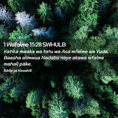 Picture 02 - 1 Wafalme 15:28 SWHULB - Katika mwaka wa tatu wa Asa mfalme wa Yuda, - Bible Verse Picture