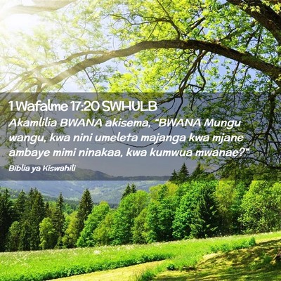 Picture 02 - 1 Wafalme 17:20 SWHULB - Akamlilia BWANA akisema, “BWANA Mungu wangu, - Bible Verse Picture