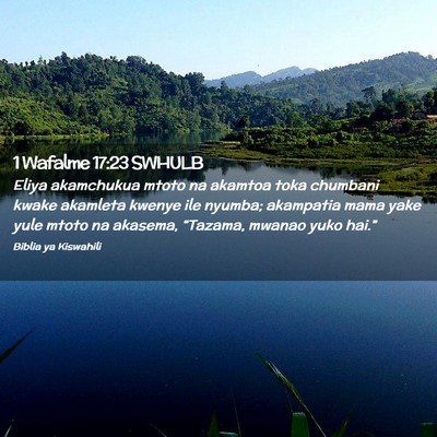 Picture 02 - 1 Wafalme 17:23 SWHULB - Eliya akamchukua mtoto na akamtoa toka chumbani - Bible Verse Picture