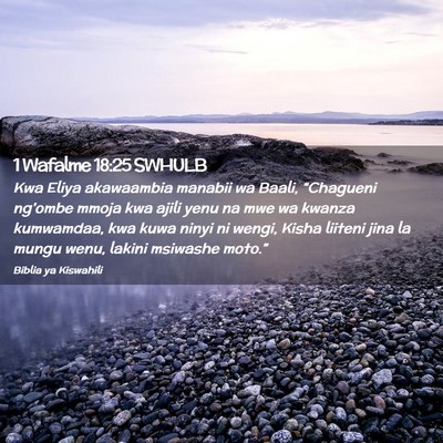 Picture 02 - 1 Wafalme 18:25 SWHULB - Kwa Eliya akawaambia manabii wa Baali, - Bible Verse Picture