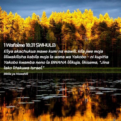 Picture 02 - 1 Wafalme 18:31 SWHULB - Eliya akachukua mawe kumi na mawili, kila jiwe - Bible Verse Picture