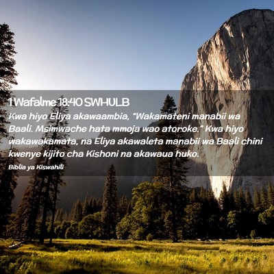 Picture 02 - 1 Wafalme 18:40 SWHULB - Kwa hiyo Eliya akawaambia, “Wakamateni manabii - Bible Verse Picture